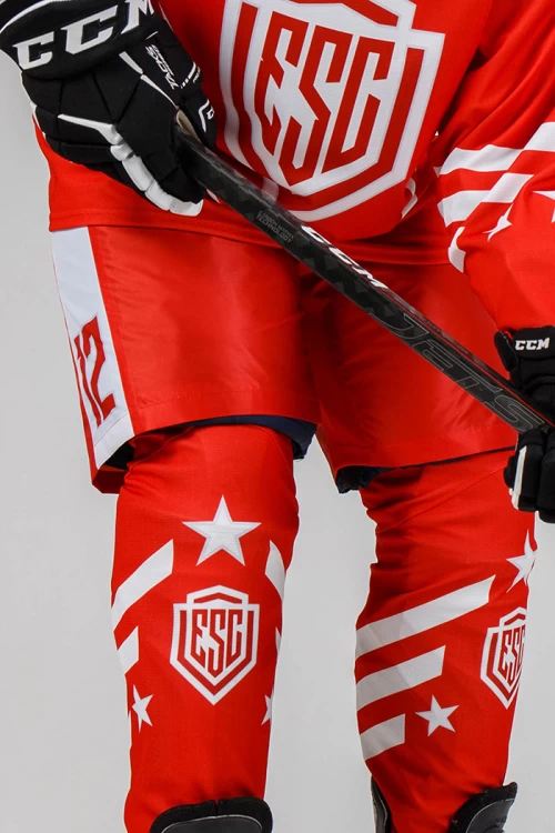 Гамаши хоккейные Анатомические HOC-GU03