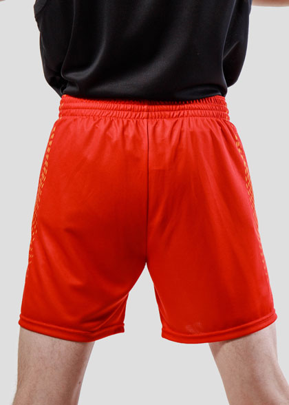 Волейбольные шорты мужские VOL-AMS-02-SUBL