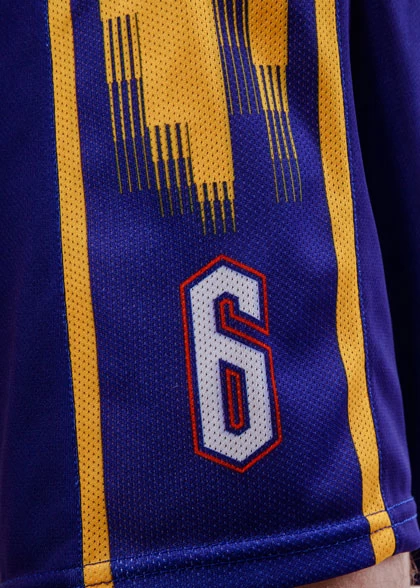 6-VOL-AMS-01-SUBL